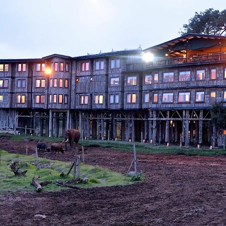 Treetops Mweiga Eksteriør billede
