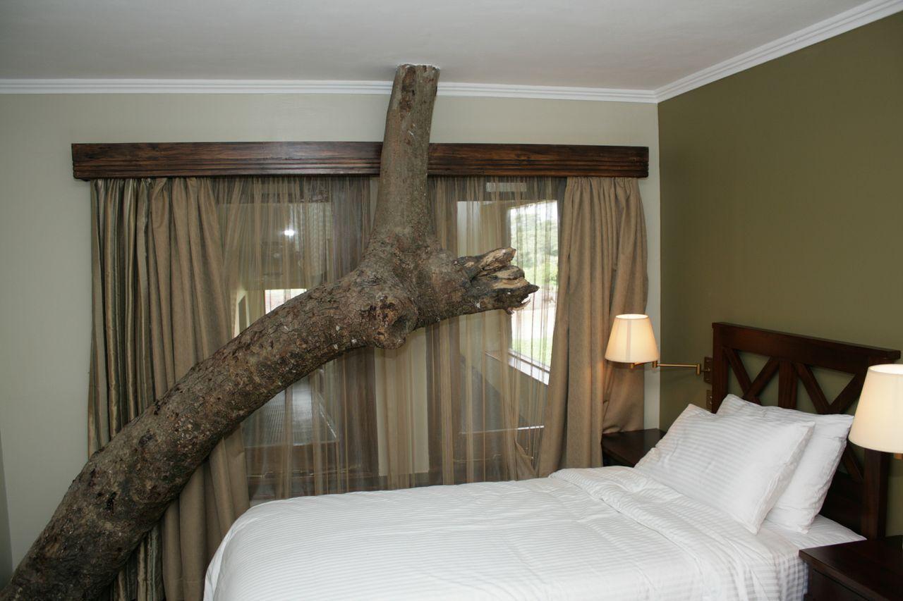 Treetops Mweiga Værelse billede