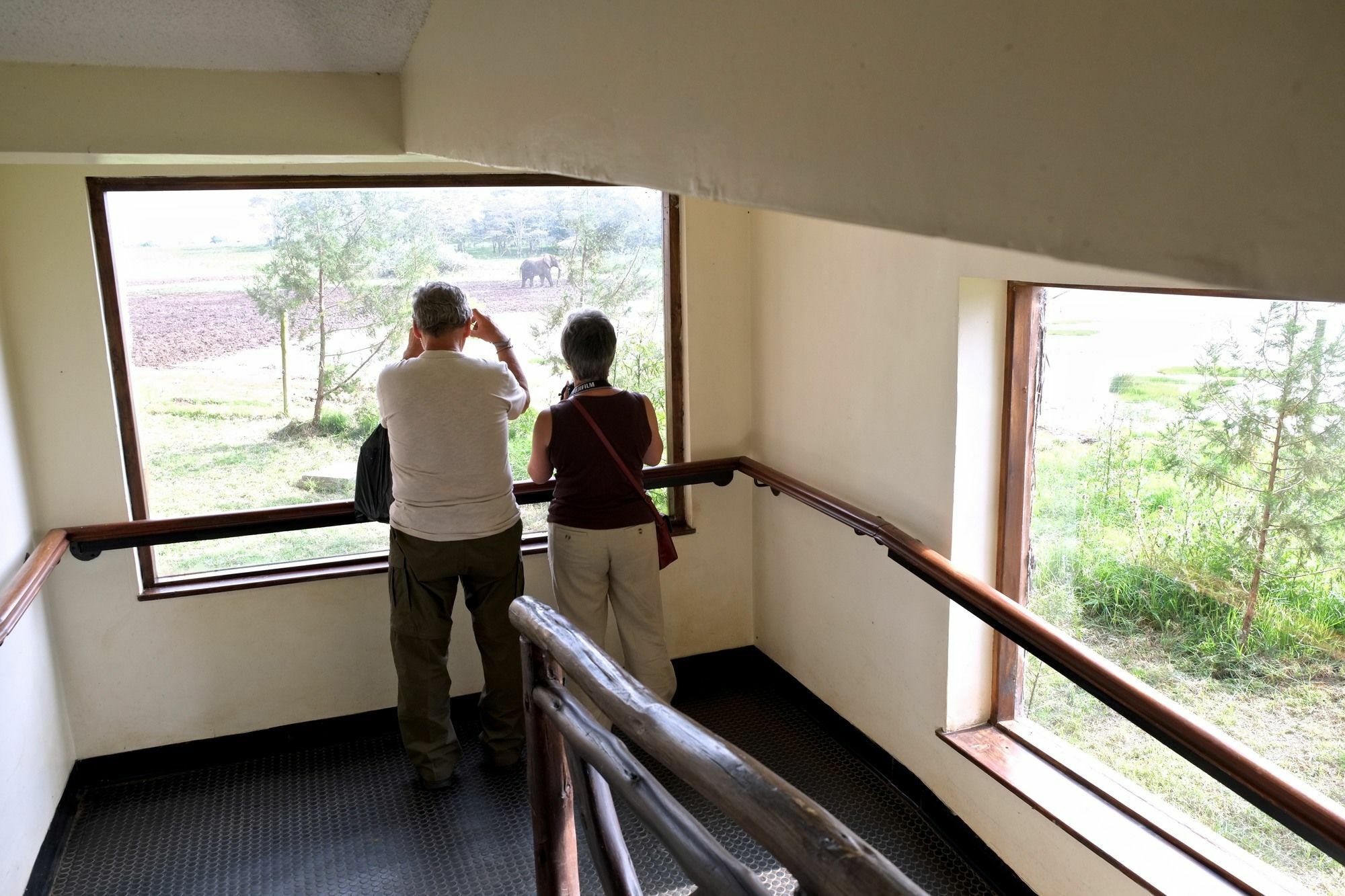 Treetops Mweiga Eksteriør billede
